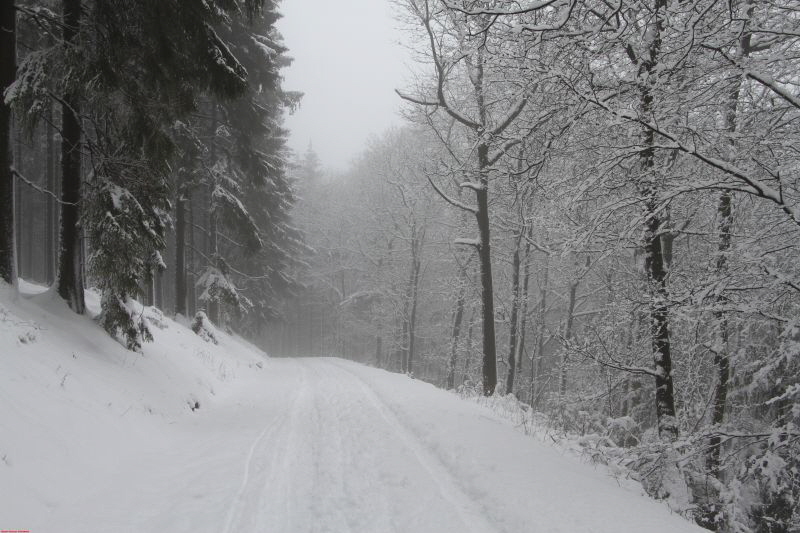 Winterwanderung am Ring Feb     2019 HP 2