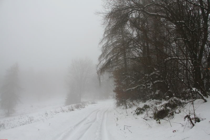 Winterwanderung am Ring Feb     2019 HP 20