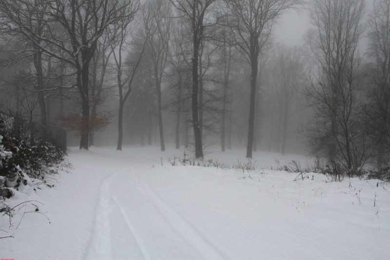 Winterwanderung am Ring Feb     2019 HP 21