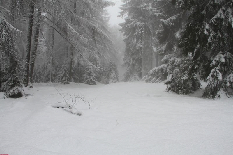 Winterwanderung am Ring Feb     2019 HP 4