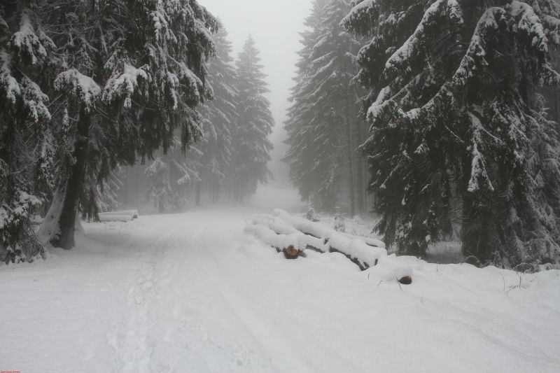 Winterwanderung am Ring Feb     2019 HP 5