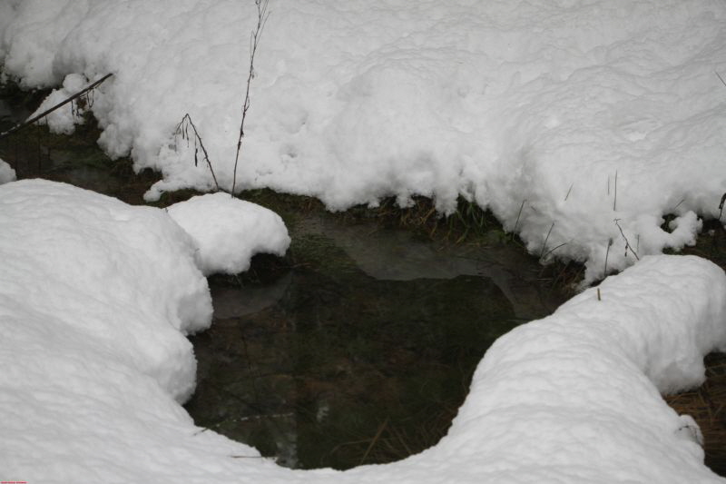 Winterwanderung am Ring Feb     2019 HP 9