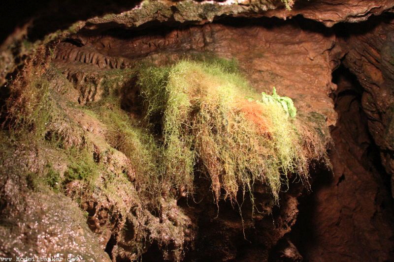 Tropfsteinhöhle Wiehl   2018  HP  9