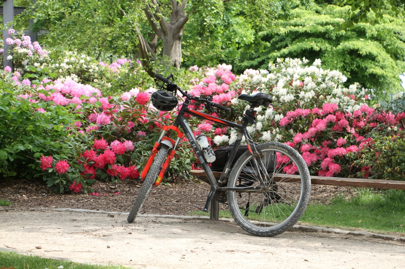 Radtour von Zollverein zum Tetraeder    2020  HP 16