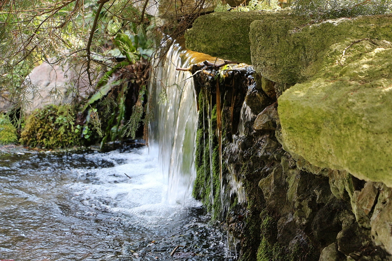 Carl Duisberg Park April    2020  HP 3