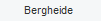 Bergheide 