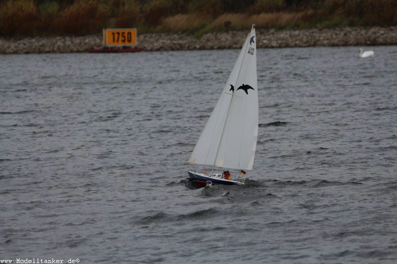 Hart am Wind Fühlingen 15.11. 2015   HP  1