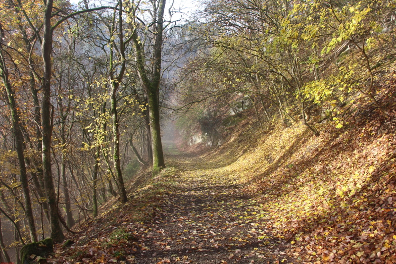 Traumpfad Bergschluchtenpfad Ehrenburg     2020  HP 17