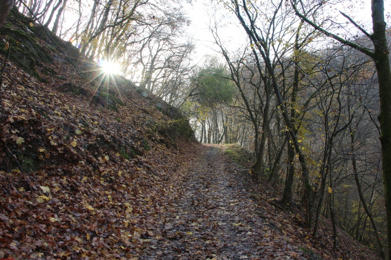 Traumpfad Bergschluchtenpfad Ehrenburg     2020  HP 18