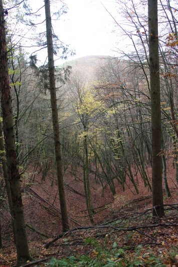 Traumpfad Bergschluchtenpfad Ehrenburg     2020  HP 26