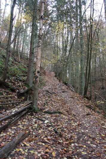 Traumpfad Bergschluchtenpfad Ehrenburg     2020  HP 27