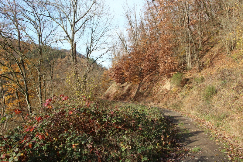 Traumpfad Bergschluchtenpfad Ehrenburg     2020  HP 32