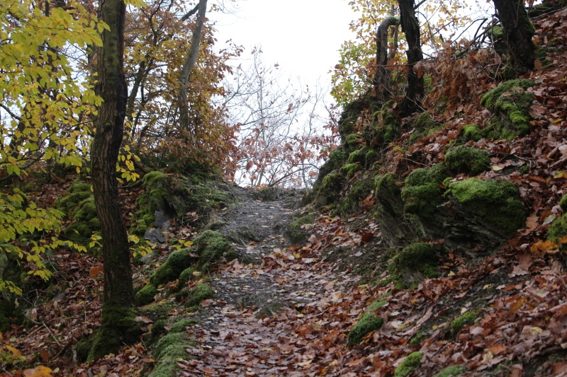 Traumpfad Bergschluchtenpfad Ehrenburg     2020  HP 7