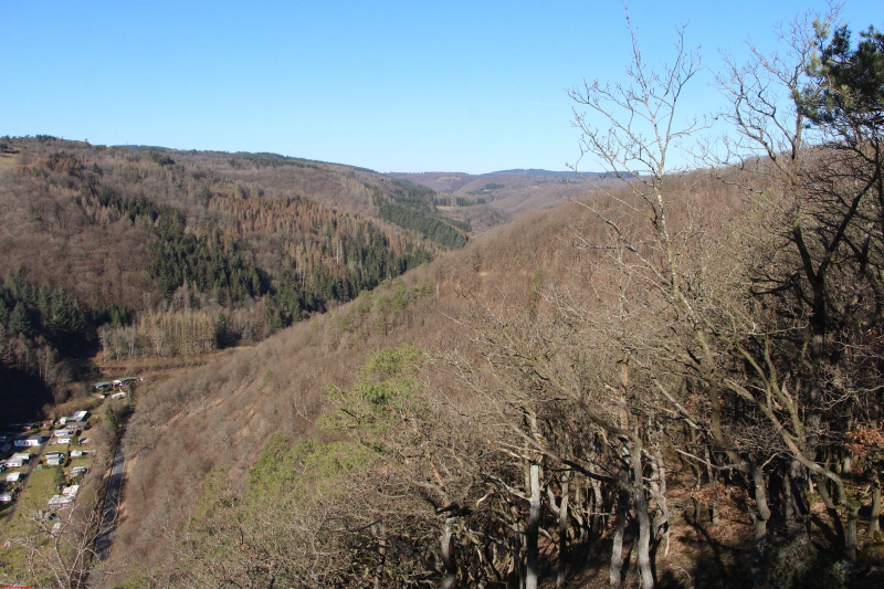 Traumpfad Heidehimmel Volkesfeld   zum 2. Mal    2021  HP 16