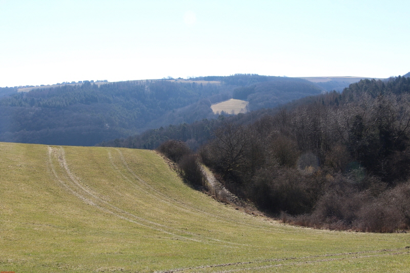 Traumpfad Heidehimmel Volkesfeld   zum 2. Mal    2021  HP 18