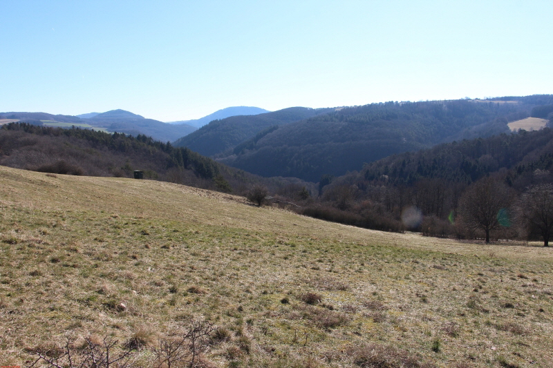 Traumpfad Heidehimmel Volkesfeld   zum 2. Mal    2021  HP 19