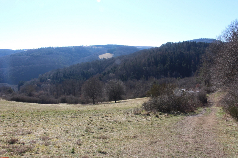 Traumpfad Heidehimmel Volkesfeld   zum 2. Mal    2021  HP 20