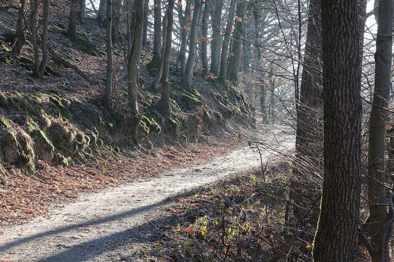 Traumpfad Heidehimmel Volkesfeld   zum 2. Mal    2021  HP 3