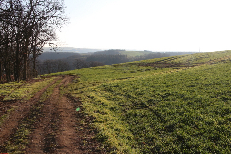 Traumpfad Nette Schieferpfad  zum 2. Mal    2021  HP 5