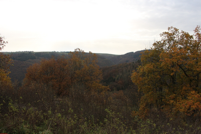 Traumpfad Heidehimmel Volkesfeld       2020  HP 22