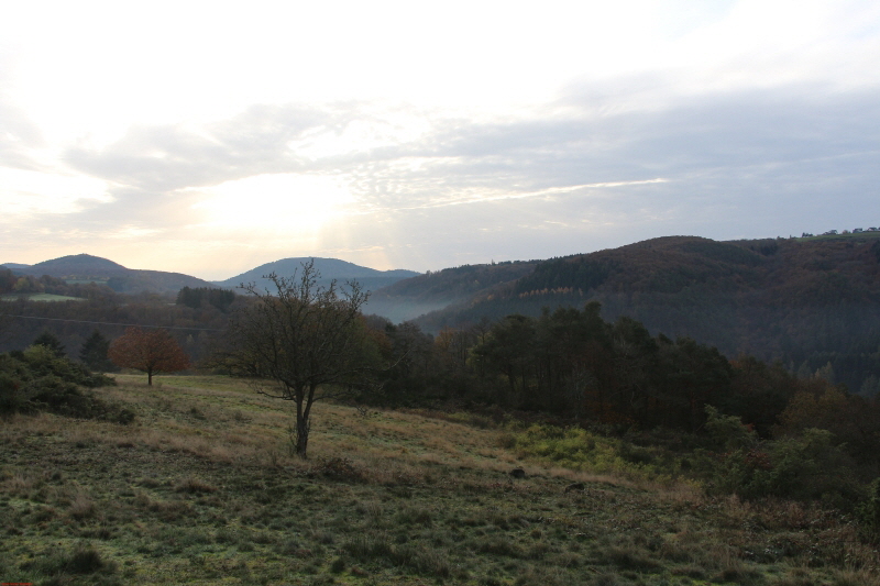 Traumpfad Heidehimmel Volkesfeld       2020  HP 9