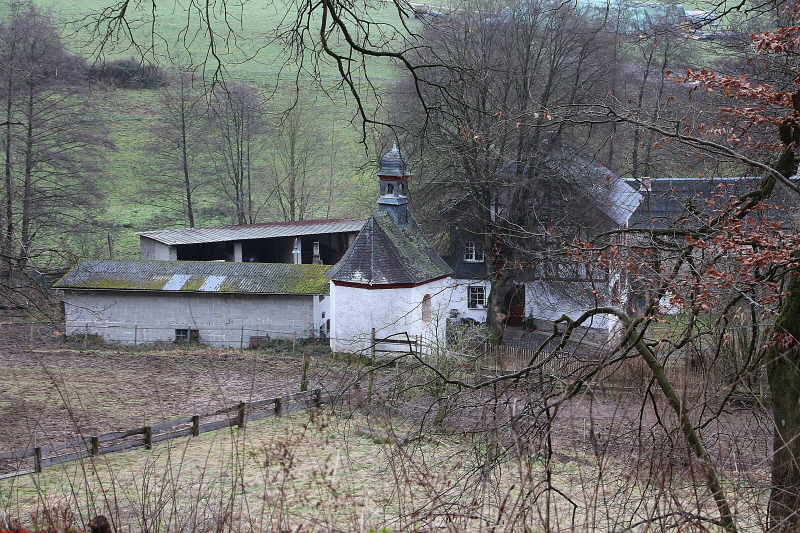 Traumpfad Waldschluchtenweg   2021  HP 16