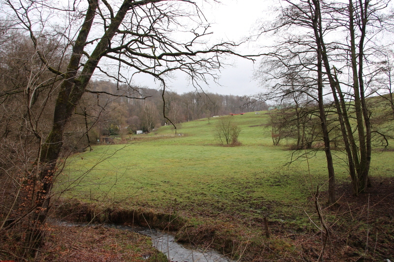 Traumpfad Waldschluchtenweg   2021  HP 18