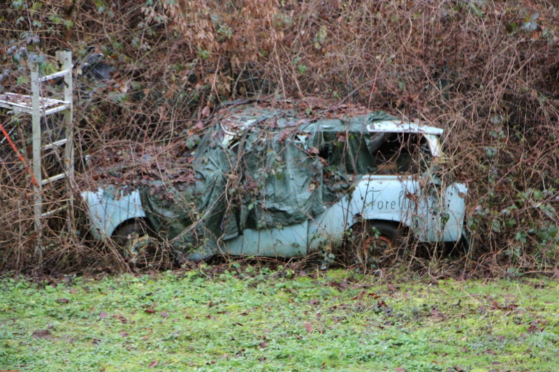 Traumpfad Waldschluchtenweg   2021  HP 31