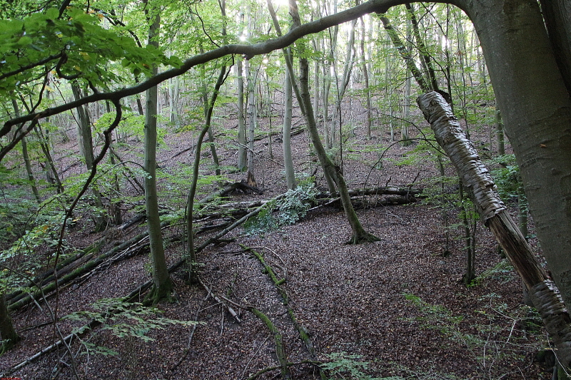 Wanderung Heimbach, Klosterrunde 2020  HP 10