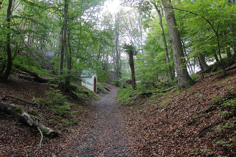 Wanderung Heimbach, Klosterrunde 2020  HP 11