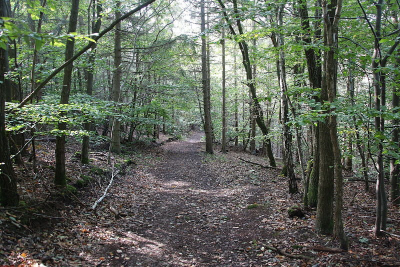 Wanderung Heimbach, Klosterrunde 2020  HP 31