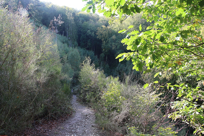 Wanderung Heimbach, Klosterrunde 2020  HP 32