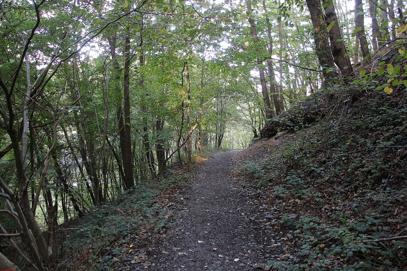 Wanderung Heimbach, Klosterrunde 2020  HP 4