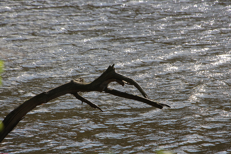 Wanderung Heimbach, Klosterrunde 2020  HP 41