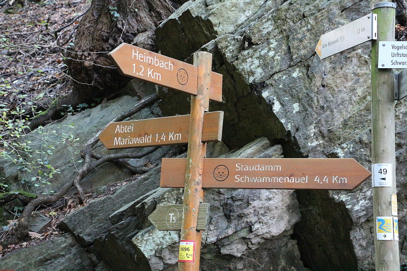 Wanderung Heimbach, Klosterrunde 2020  HP 6