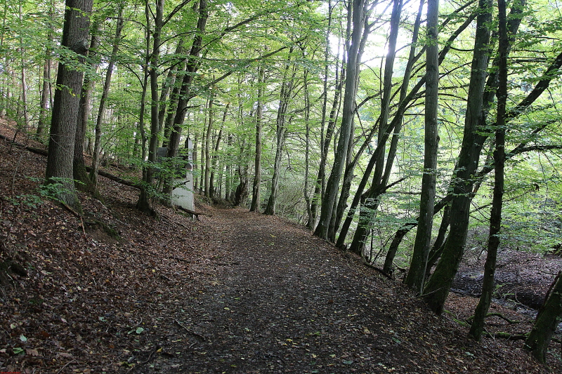 Wanderung Heimbach, Klosterrunde 2020  HP 9