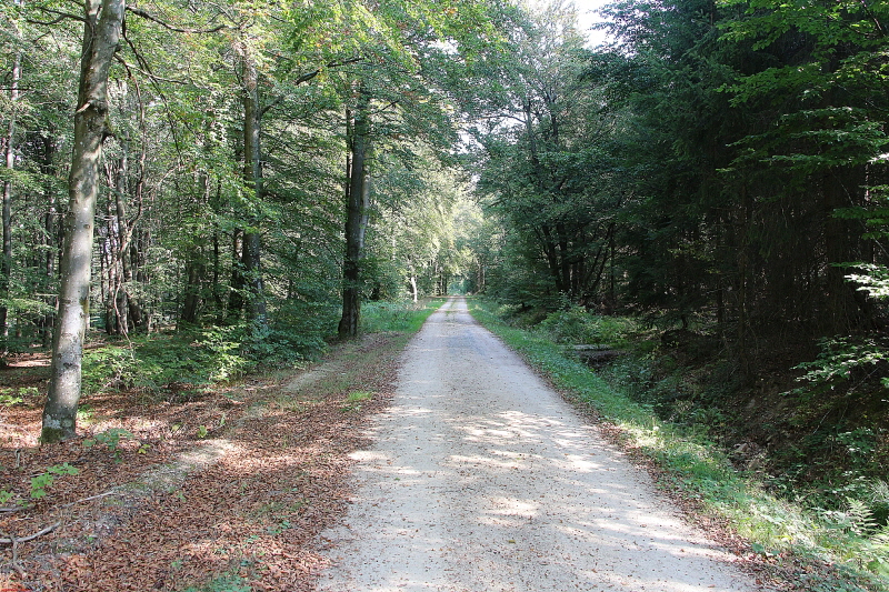 Wanderung am Schwarzen Mann 2020  HP 12