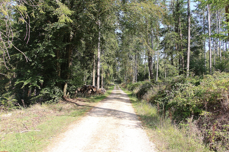 Wanderung am Schwarzen Mann 2020  HP 24