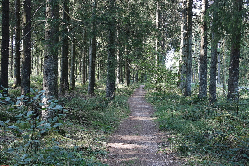 Wanderung am Schwarzen Mann 2020  HP 5