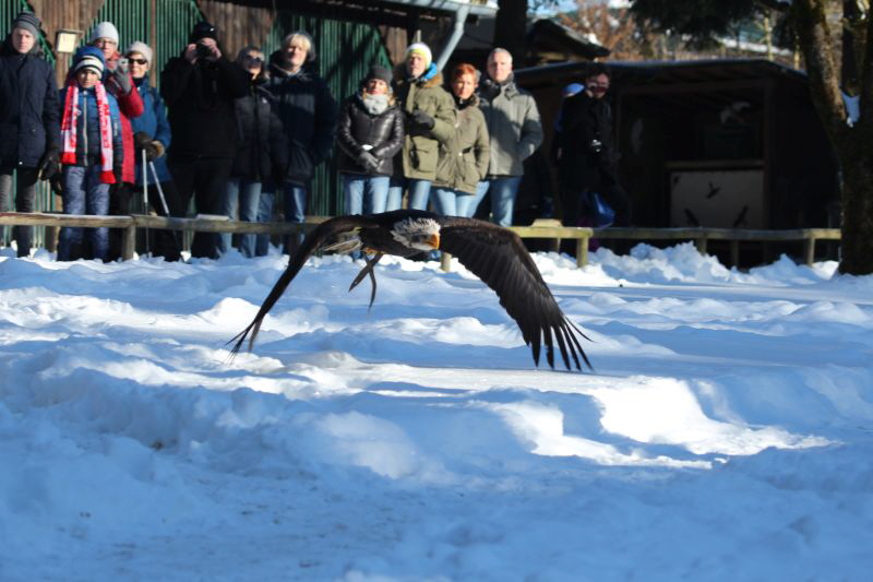 Ausflug Hellenthal Jan . 17 HP   18