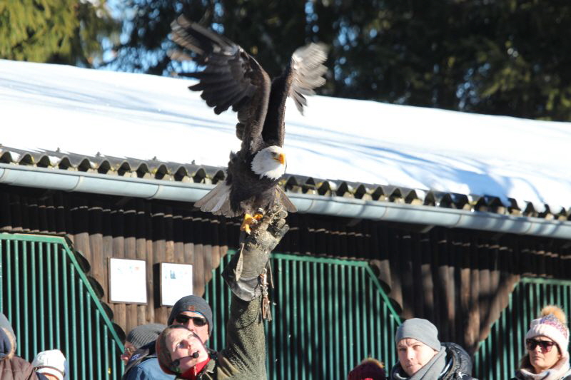 Ausflug Hellenthal Jan . 17 HP   22