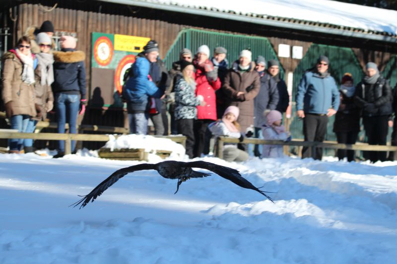 Ausflug Hellenthal Jan . 17 HP   26