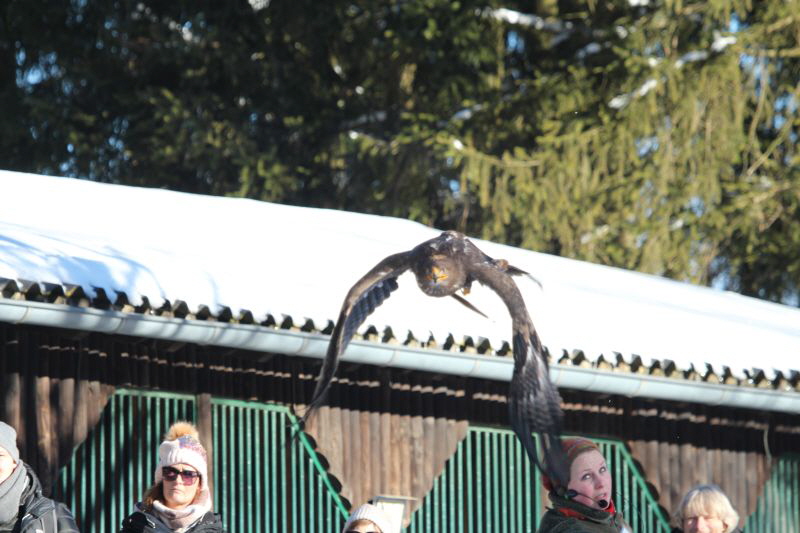 Ausflug Hellenthal Jan . 17 HP   27