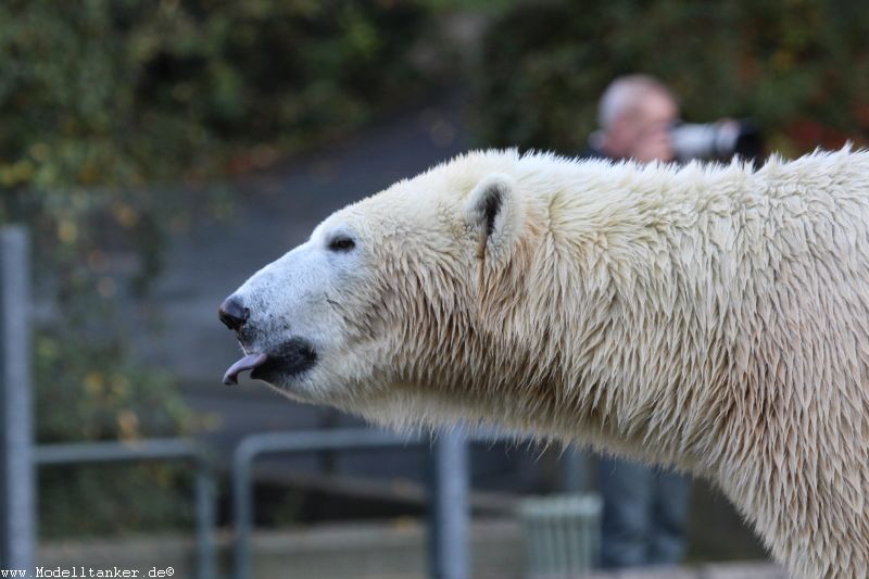 Zoo Wuppertal  2015   HP  14