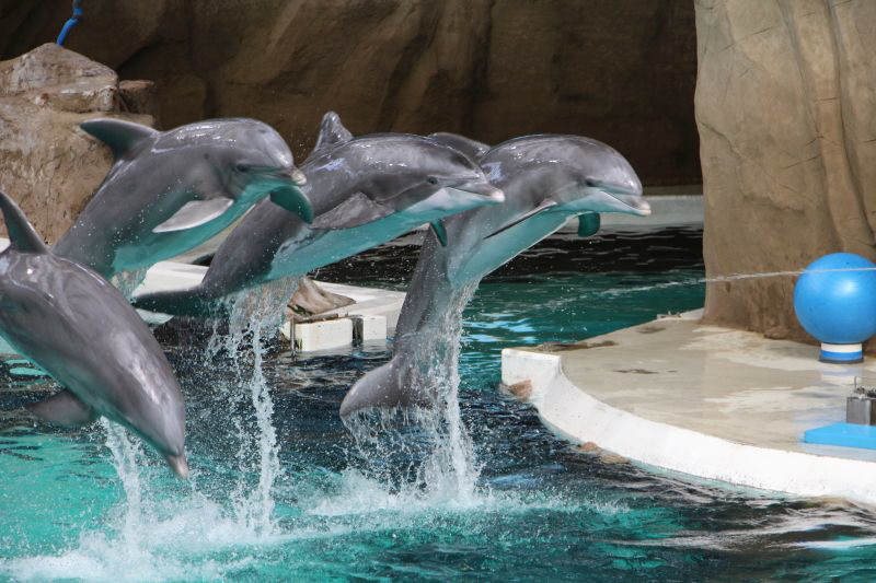 Duisburg Zoo April .2015 HP 19