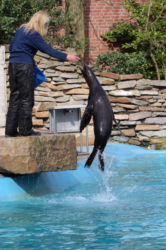 Duisburg Zoo April .2015 HP 4