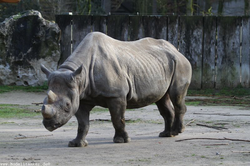 Zoo Krefeld Dez    2017   HP  7