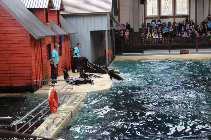 Allwetterzoo Mnster  April 16     HP  17