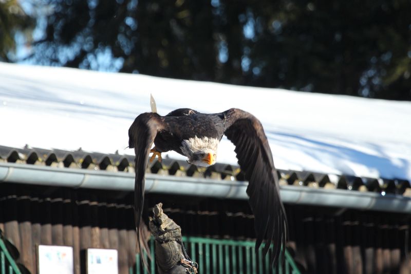 Ausflug Hellenthal Jan . 17 HP   20