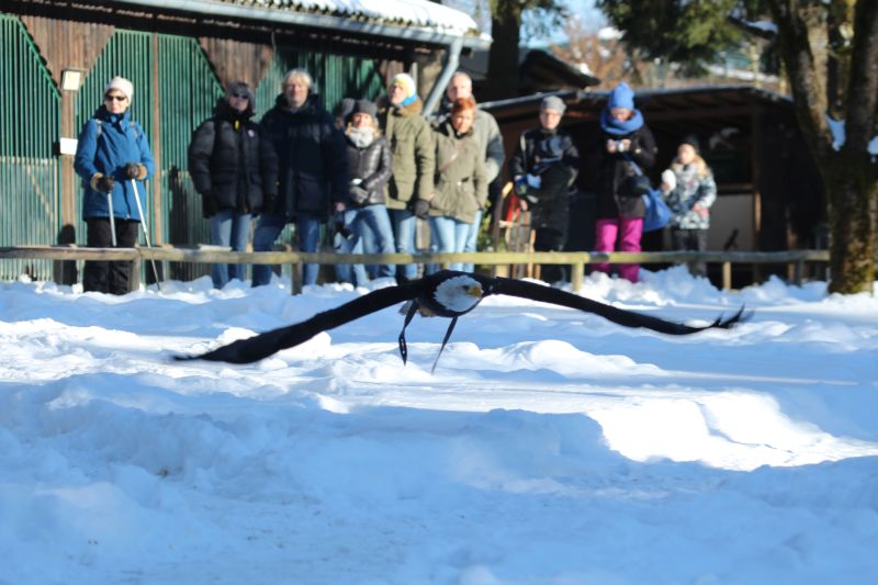 Ausflug Hellenthal Jan . 17 HP   23